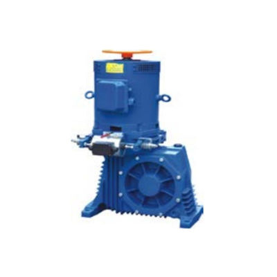 AC220V napęd ruchomych ruchomych hamulców napęd elektryczny napęd impulsowy i napęd przepływowy