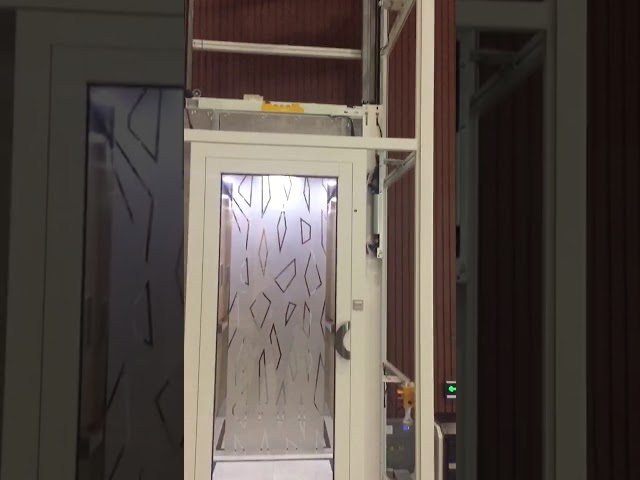 AC Drive 400KG ładunek windy mieszkalnej z drzwiami otwierającymi się w środku do wygodnego użytku domowego