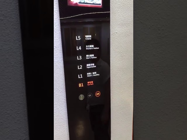 Vvvf Control Podłoga PCV Panoramiczna winda z maszynownią