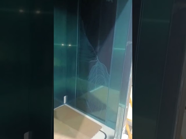1600kg Napęd AC Mieszkaniowy Panoramiczny Szklany Winda Winda Obserwacyjna Winda